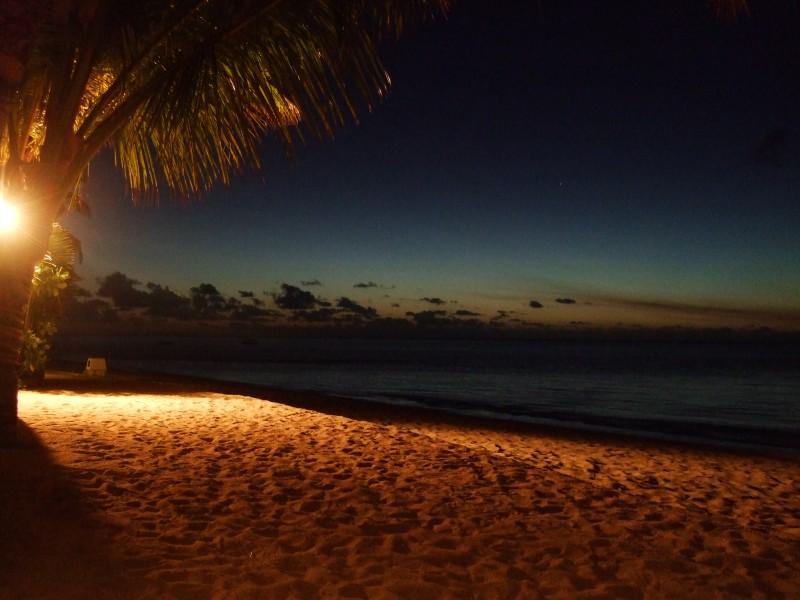 Mauritius 2010 - 0226 